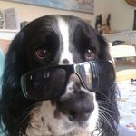 Lisa Quinton - @lisa.quinton.77 - Instagram