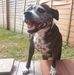 Lisa Raine - Facebook