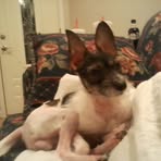 Lisa Ranes - Facebook