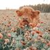 Lisa Caviness Rasberry - Facebook