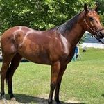 Lisa Rasberry - @barrelracer1966 - Instagram