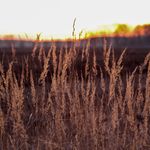 Lisa Rasche Fotografie - @lisaaafotografie - Instagram