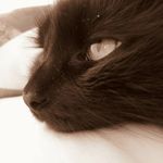 Lisa Ratcliffe - @lisaratcliffe48 - Instagram