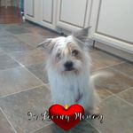 Lisa Ratcliffe - @lisa.ratcliffe.165 - Instagram