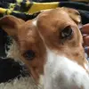 lisathuerauf - @lisathuerauf - TikTok