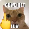 liyaa - @lisaraya._ - TikTok