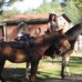 Lisa Reason Hunt - Facebook