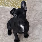 Lisa Recker - @lrecker66 - Instagram
