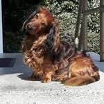 Lisa Reckert - @lisa_reckert - Instagram