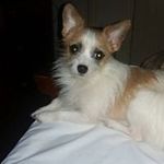 Lisa Record - @shadowgirl1980 - Instagram