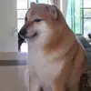lisareeseejmngi - @lisareeseejmngi - TikTok