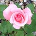 Lisa Vignovich Reeser - Facebook