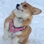 Lisa D. Render - @lisarender1 - Instagram
