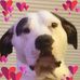 Lisa Rexrode - Facebook