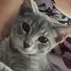 lisarexrodecopela - @lisa.rexrode.cope - TikTok