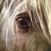 Lisa Rhea - Facebook