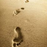 Lisa Del Riccio - @barefoot_innature - Instagram