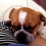 Lisa Riddell - @riddell.lisa - Instagram