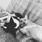 Lisa Riddell - @pizariddell16 - Instagram