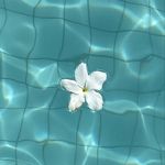 Lisa Ridgeway - @nannycamel - Instagram