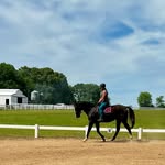 Jason and Jennifer Newman • Lisa Stewart Riding School - @hawkins_hill_farm - Instagram