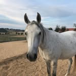 Lisa - @lisa_riding_team_forever - Instagram