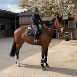 Lisa - @lisamarie_riding - Instagram