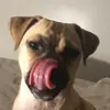 Lisa - @lisariding - TikTok