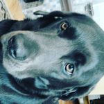 lisa - @king_lisa_riedl_ - Instagram