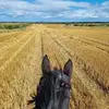 Lisa Pringle - @lisa.pringle2 - TikTok