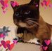 Lisa Rappa - Facebook