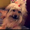 lisaerisse - @lisaerisse - TikTok
