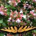 Lisa Ritz - Facebook
