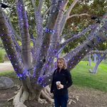 Lisa Ritz - @ritzlw - Instagram