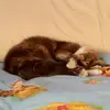 Lisa Rizzi - @lisa.020805 - TikTok