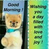 Lisa-Mare Rockman - @lisa.m.r.z.1801 - TikTok