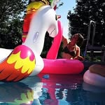 Lisa Rodé - @lisarode_65 - Instagram