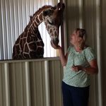 Im The Cool Mom - @lisarogge01 - Instagram