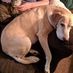 Lisa Rollo - Facebook