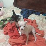 Lisa Rolon - Facebook