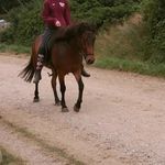 lisa_rømø - @lisa_thomsens_acc - Instagram