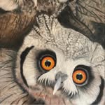 Lisa Roome - @leezer1414 - Instagram