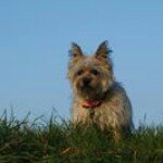 Lisa Rothwell - @rothwelllisa - Instagram