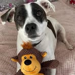Lisa Rothwell - Facebook