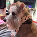 Lisa Rowell - Facebook