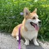 Lisa Rowlands - @lisa.rowlands4 - TikTok