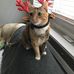 Lisa Royce - Facebook
