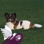 Lisa Rushlow - Facebook