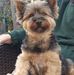 Lisa Rushton - Facebook