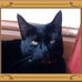 Lisa Rushton - Facebook